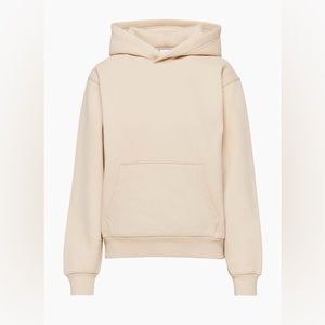 Aritzia Perfect hoodie